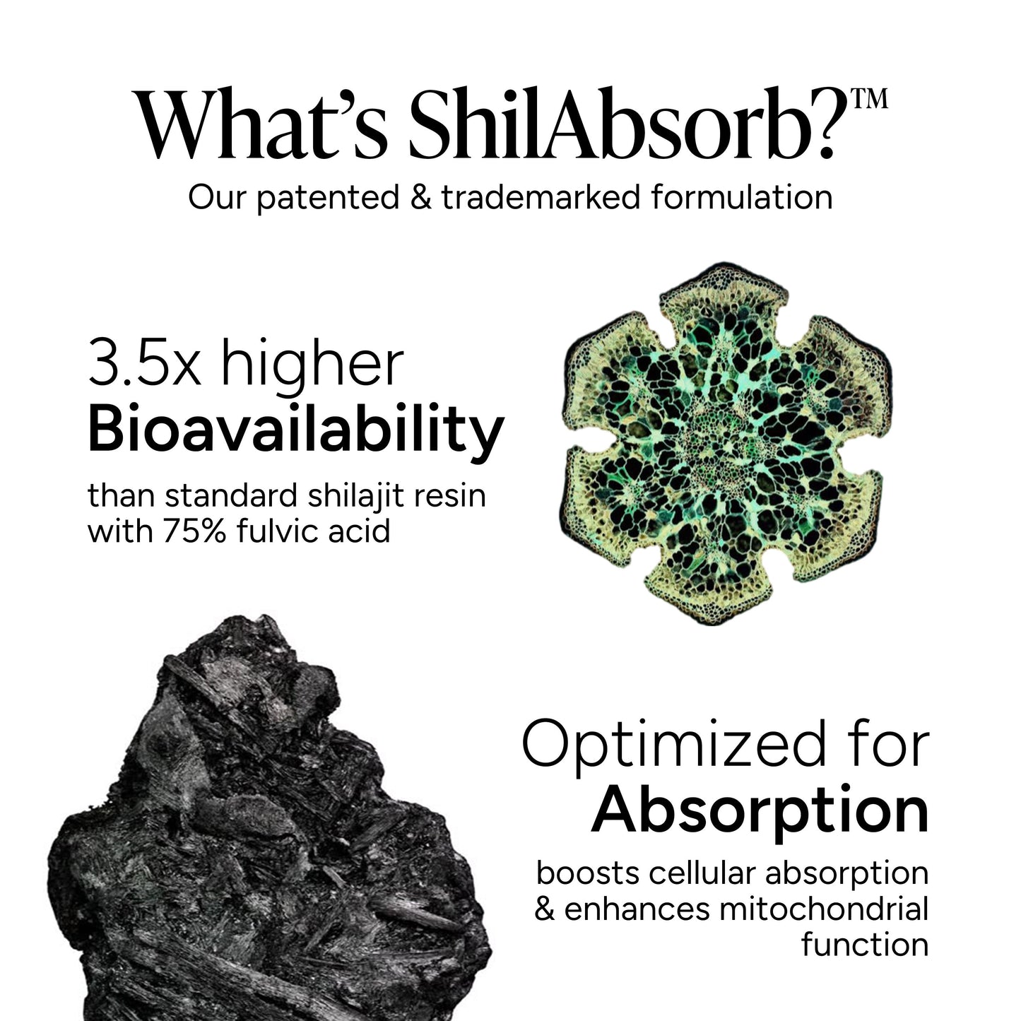 Zenith™ Shilajit Alpha Gummies